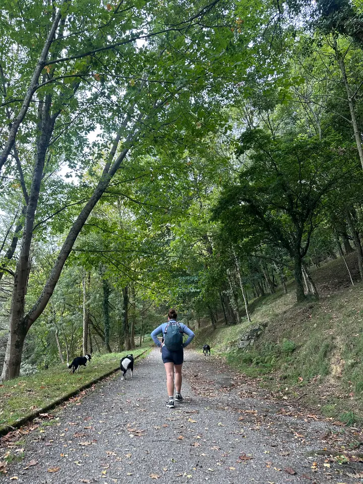 Por el monte a Orio